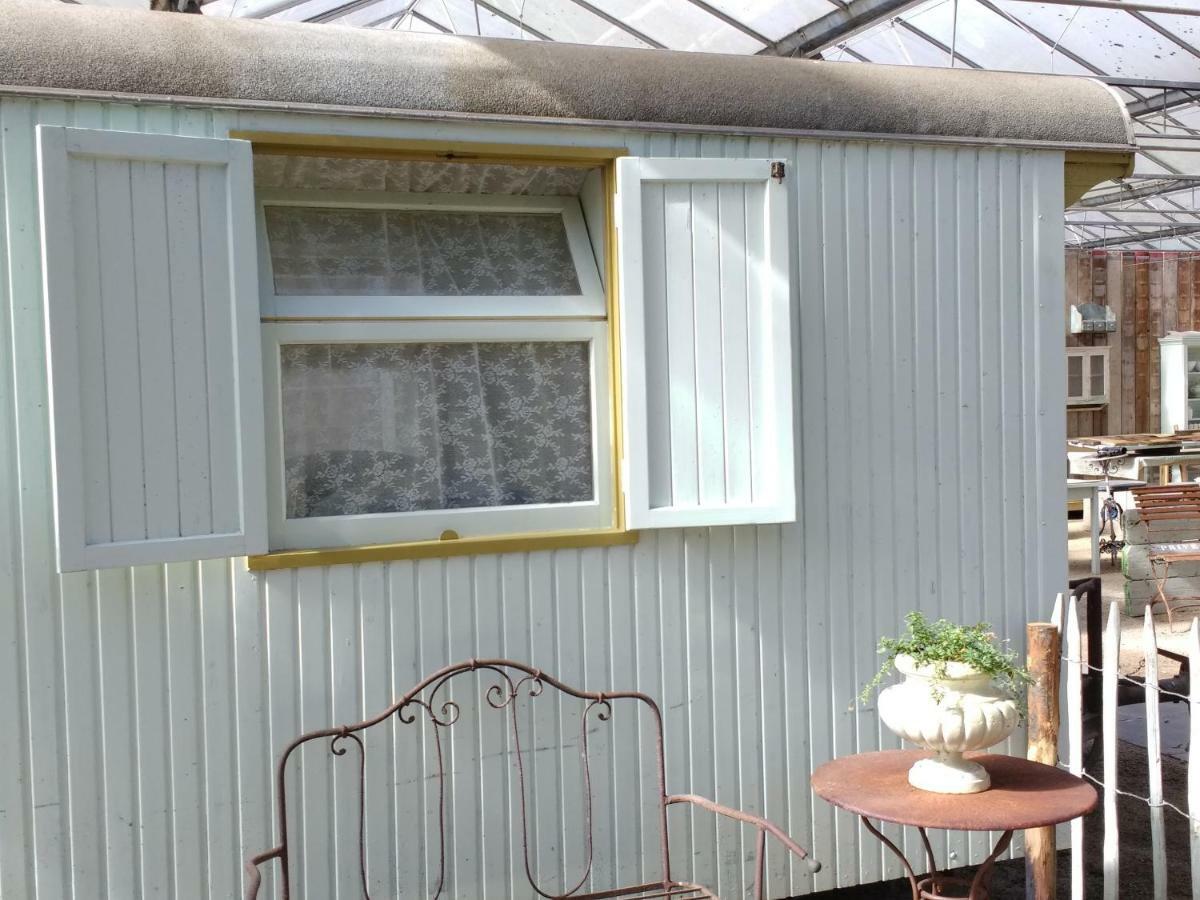 Pipowagen Overnachting Het Houten Huis Zaltbommel Kültér fotó