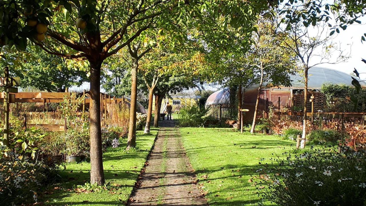 Pipowagen Overnachting Het Houten Huis Zaltbommel Kültér fotó